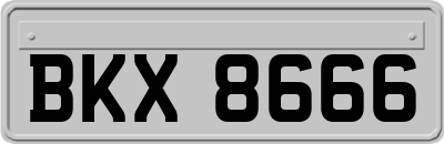 BKX8666