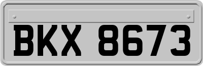 BKX8673