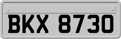 BKX8730