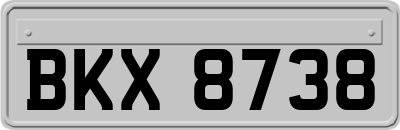 BKX8738