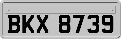 BKX8739