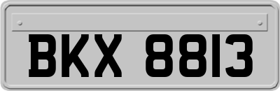 BKX8813