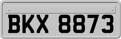 BKX8873
