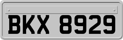 BKX8929
