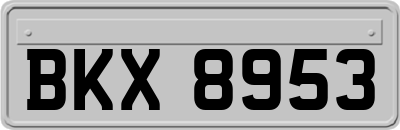 BKX8953