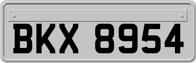 BKX8954