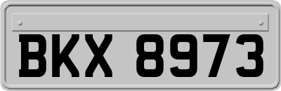 BKX8973