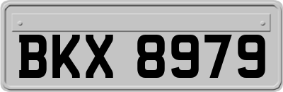 BKX8979