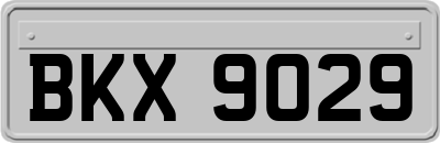 BKX9029