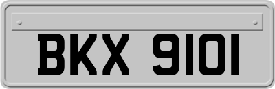 BKX9101
