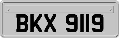 BKX9119
