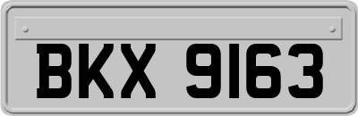 BKX9163