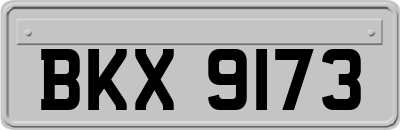 BKX9173