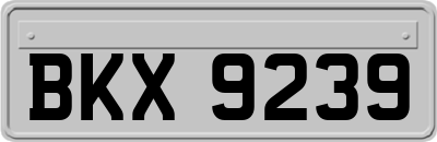 BKX9239