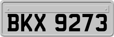 BKX9273
