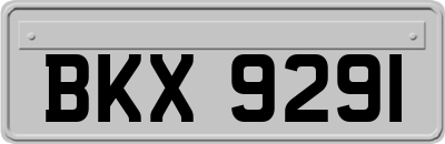 BKX9291