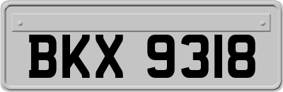 BKX9318