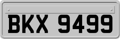 BKX9499