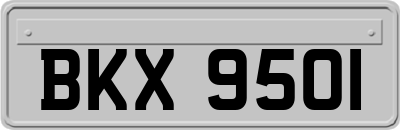 BKX9501