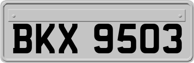 BKX9503