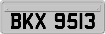BKX9513
