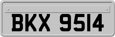 BKX9514