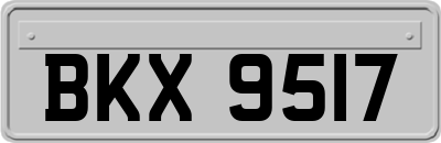 BKX9517