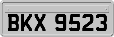 BKX9523