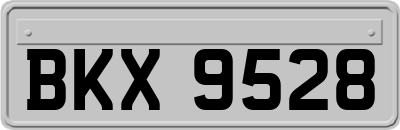 BKX9528