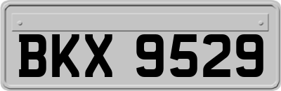 BKX9529