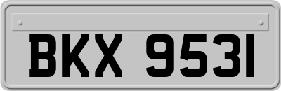 BKX9531