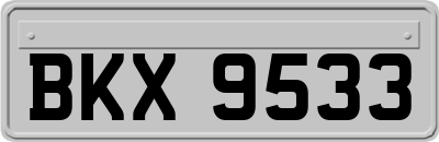 BKX9533