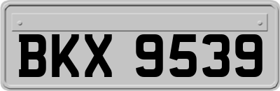 BKX9539