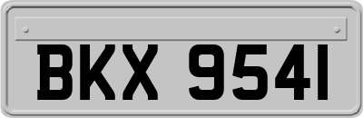 BKX9541