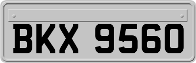 BKX9560