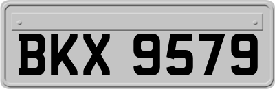 BKX9579