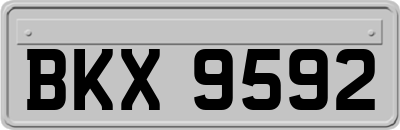 BKX9592