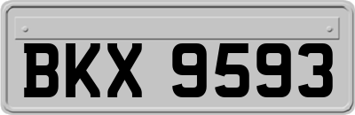 BKX9593