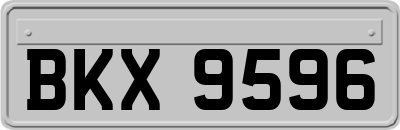 BKX9596
