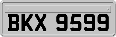 BKX9599