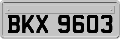 BKX9603