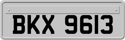 BKX9613
