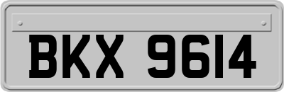 BKX9614