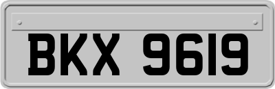 BKX9619