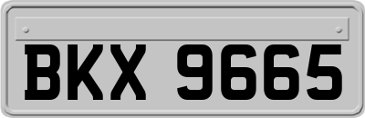 BKX9665