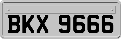 BKX9666