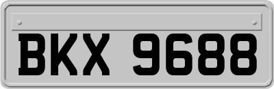 BKX9688
