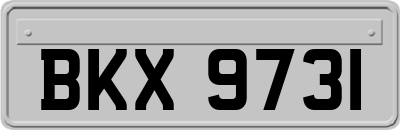 BKX9731