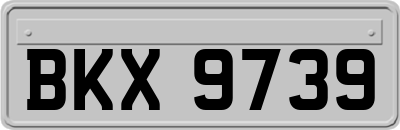 BKX9739