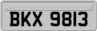 BKX9813